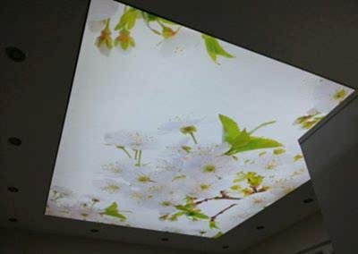 Gergi Tavan, Gergi Tavan Modelleri Baskılı Gergi Tavan 137