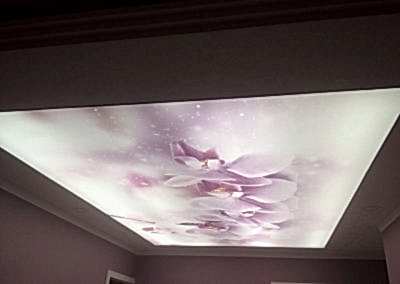 Gergi Tavan, Gergi Tavan Modelleri Baskılı Gergi Tavan 146