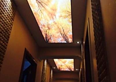 Gergi Tavan, Gergi Tavan Modelleri Baskılı Gergi Tavan 163