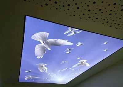 Gergi Tavan, Gergi Tavan Modelleri Baskılı Gergi Tavan 172