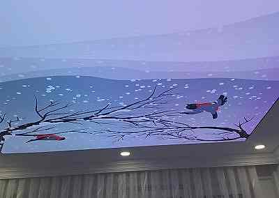 Gergi Tavan, Gergi Tavan Modelleri Baskılı Gergi Tavan 198