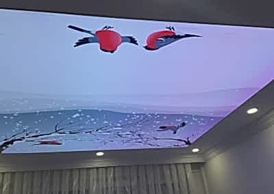 Gergi Tavan, Gergi Tavan Modelleri Baskılı Gergi Tavan 200