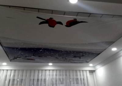 Gergi Tavan, Gergi Tavan Modelleri Baskılı Gergi Tavan 202