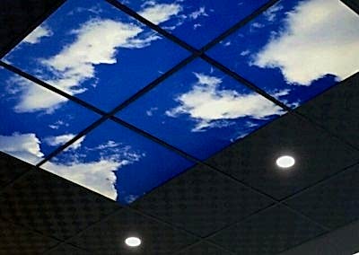 Gergi Tavan, Gergi Tavan Modelleri Baskılı Gergi Tavan 204