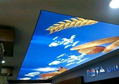 Gergi Tavan, Gergi Tavan Modelleri Baskılı Gergi Tavan 207