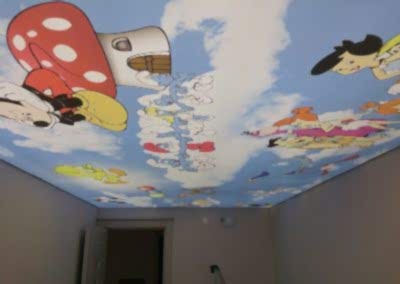 Gergi Tavan, Gergi Tavan Modelleri Baskılı Gergi Tavan 41