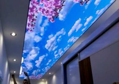 Gergi Tavan, Gergi Tavan Modelleri Baskılı Gergi Tavan 219