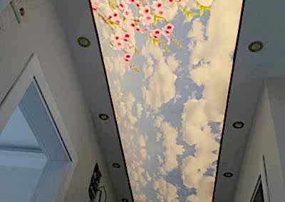 Gergi Tavan, Gergi Tavan Modelleri Baskılı Gergi Tavan 222