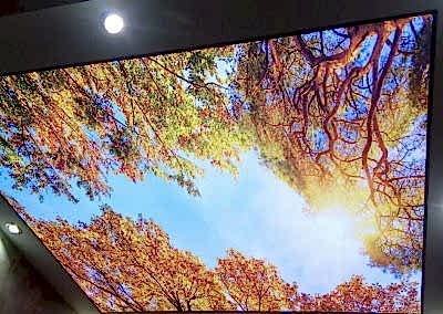 Gergi Tavan, Gergi Tavan Modelleri Baskılı Gergi Tavan 224