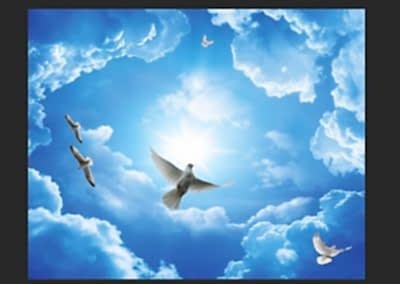 Gergi Tavan, Gergi Tavan Modelleri Baskılı Gergi Tavan 226