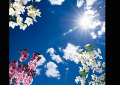 Gergi Tavan, Gergi Tavan Modelleri Baskılı Gergi Tavan 228