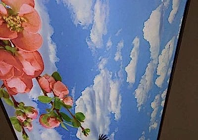 Gergi Tavan, Gergi Tavan Modelleri Baskılı Gergi Tavan 244