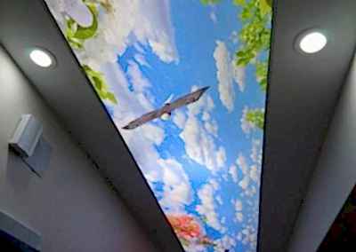 Gergi Tavan, Gergi Tavan Modelleri Baskılı Gergi Tavan 246