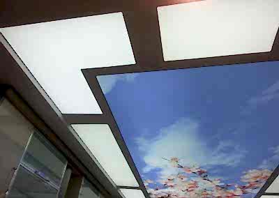 Gergi Tavan, Gergi Tavan Modelleri Baskılı Gergi Tavan 53