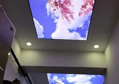 Gergi Tavan, Gergi Tavan Modelleri Baskılı Gergi Tavan 251