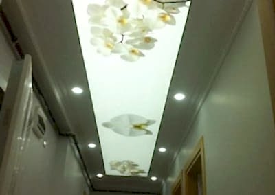 Gergi Tavan, Gergi Tavan Modelleri Baskılı Gergi Tavan 256