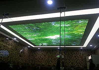 Gergi Tavan, Gergi Tavan Modelleri Baskılı Gergi Tavan 284