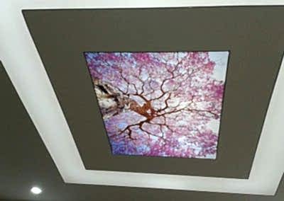 Gergi Tavan, Gergi Tavan Modelleri Baskılı Gergi Tavan 294