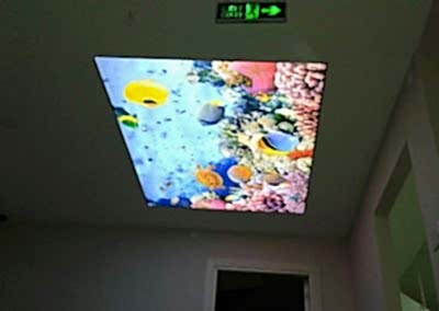 Gergi Tavan, Gergi Tavan Modelleri Baskılı Gergi Tavan 300