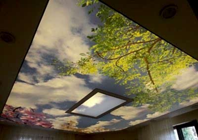 Gergi Tavan, Gergi Tavan Modelleri Baskılı Gergi Tavan 302