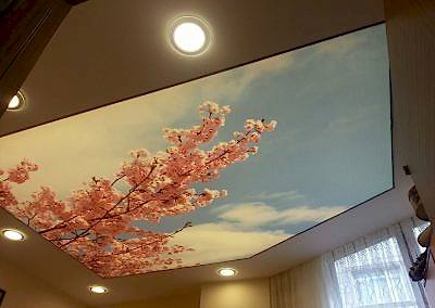 Gergi Tavan, Gergi Tavan Modelleri Baskılı Gergi Tavan 305