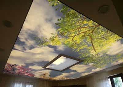 Gergi Tavan, Gergi Tavan Modelleri Baskılı Gergi Tavan 309