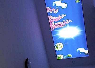 Gergi Tavan, Gergi Tavan Modelleri Baskılı Gergi Tavan 314