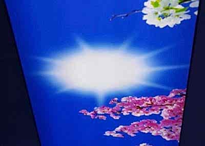 Gergi Tavan, Gergi Tavan Modelleri Baskılı Gergi Tavan 318