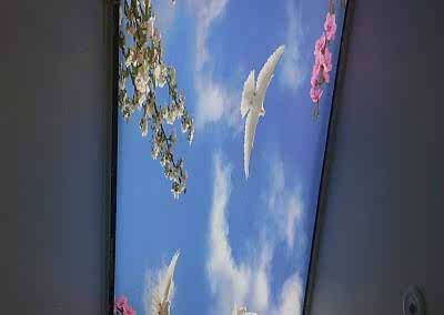 Gergi Tavan, Gergi Tavan Modelleri Baskılı Gergi Tavan 341