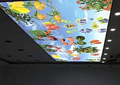 Gergi Tavan, Gergi Tavan Modelleri Baskılı Gergi Tavan 348