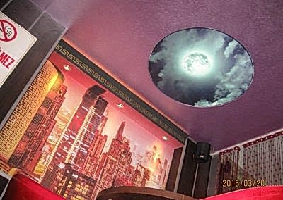 Gergi Tavan, Gergi Tavan Modelleri Baskılı Gergi Tavan 355