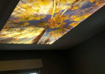 Gergi Tavan, Gergi Tavan Modelleri Baskılı Gergi Tavan 364