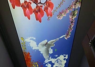 Gergi Tavan, Gergi Tavan Modelleri Baskılı Gergi Tavan 366