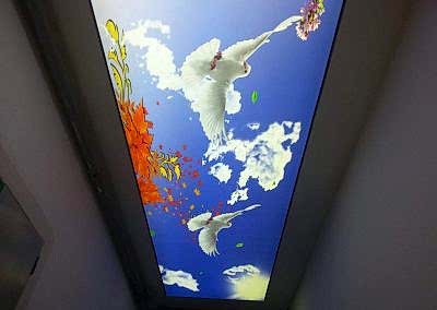 Gergi Tavan, Gergi Tavan Modelleri Baskılı Gergi Tavan 368