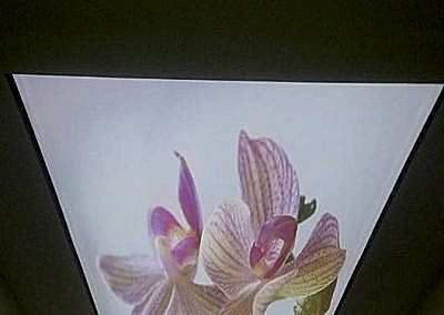 Gergi Tavan, Gergi Tavan Modelleri Baskılı Gergi Tavan 372