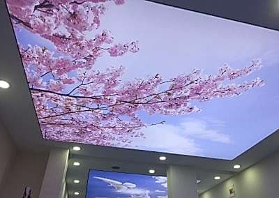 Gergi Tavan, Gergi Tavan Modelleri Baskılı Gergi Tavan 95