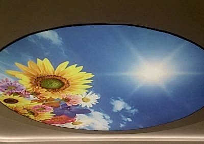 Gergi Tavan, Gergi Tavan Modelleri Baskılı Gergi Tavan 376