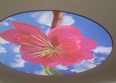 Gergi Tavan, Gergi Tavan Modelleri Baskılı Gergi Tavan 377