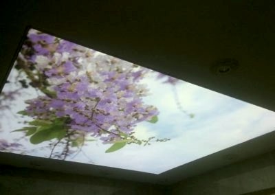 Gergi Tavan, Gergi Tavan Modelleri Baskılı Gergi Tavan 379