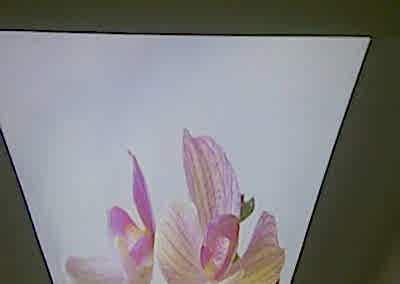 Gergi Tavan, Gergi Tavan Modelleri Baskılı Gergi Tavan 382