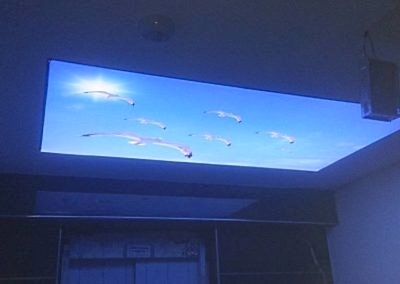 Gergi Tavan, Gergi Tavan Modelleri Baskılı Gergi Tavan 386