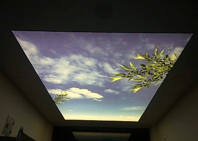 Gergi Tavan, Gergi Tavan Modelleri Baskılı Gergi Tavan 390