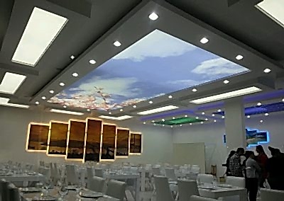 Gergi Tavan, Gergi Tavan Modelleri Baskılı Gergi Tavan 402