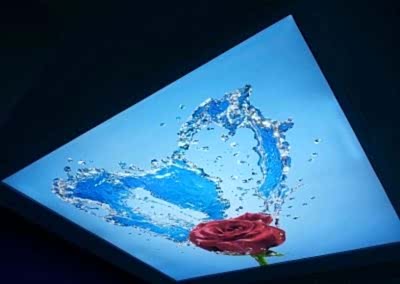 Gergi Tavan, Gergi Tavan Modelleri Baskılı Gergi Tavan 406