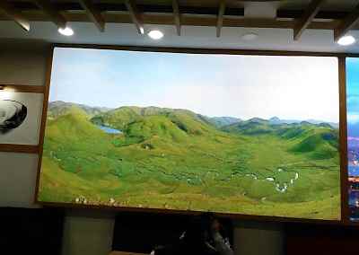 Gergi Tavan, Gergi Tavan Modelleri Baskılı Gergi Tavan 412