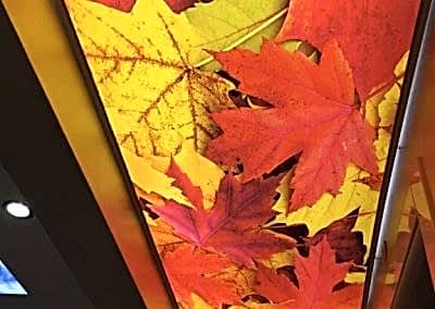 Gergi Tavan, Gergi Tavan Modelleri Baskılı Gergi Tavan 417