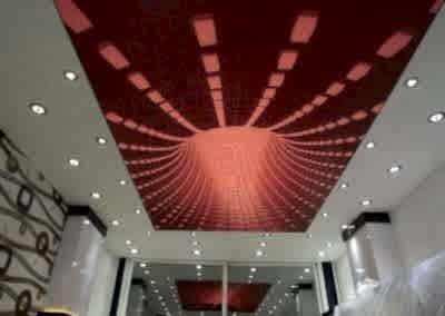 Gergi Tavan, Gergi Tavan Modelleri Baskılı Gergi Tavan 420