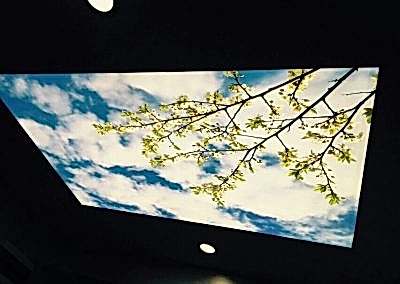 Gergi Tavan, Gergi Tavan Modelleri Baskılı Gergi Tavan 445