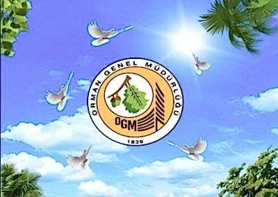 Gergi Tavan, Gergi Tavan Modelleri Baskılı Gergi Tavan 453