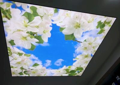 Gergi Tavan, Gergi Tavan Modelleri Baskılı Gergi Tavan 174